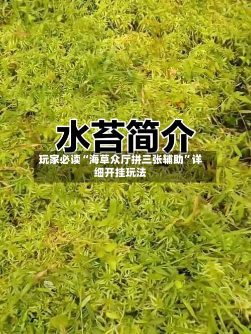 玩家必读“海草众厅拼三张辅助”详细开挂玩法-第1张图片
