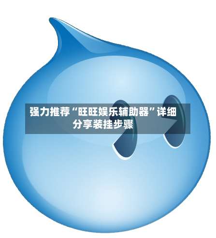 强力推荐“旺旺娱乐辅助器	”详细分享装挂步骤-第1张图片