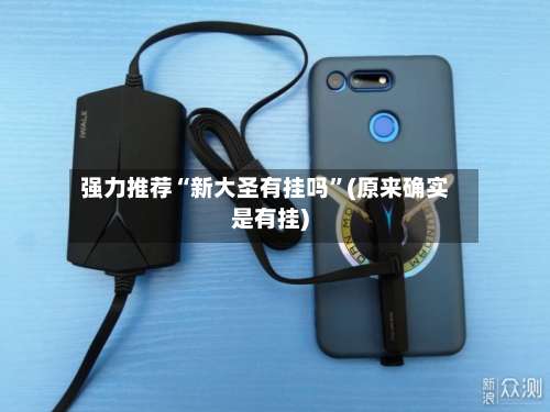 强力推荐“新大圣有挂吗	”(原来确实是有挂)-第2张图片