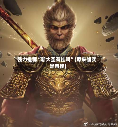 强力推荐“新大圣有挂吗”(原来确实是有挂)-第1张图片