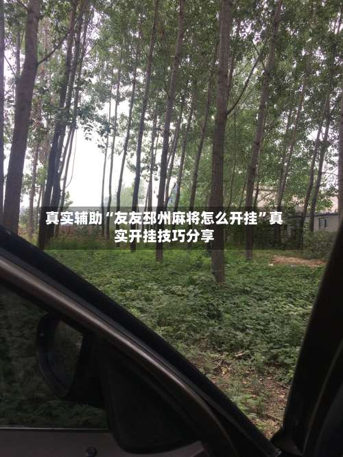 真实辅助“友友邳州麻将怎么开挂”真实开挂技巧分享-第2张图片