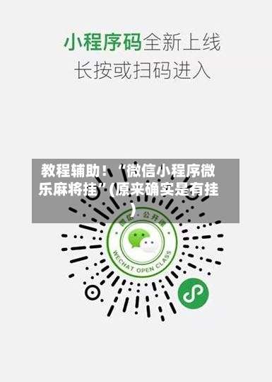 教程辅助！“微信小程序微乐麻将挂”(原来确实是有挂)-第1张图片