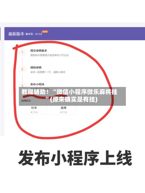 教程辅助！“微信小程序微乐麻将挂”(原来确实是有挂)-第3张图片