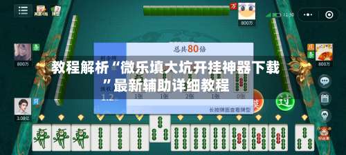 教程解析“微乐填大坑开挂神器下载”最新辅助详细教程-第1张图片