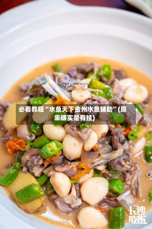 必看教程“水鱼天下金州水鱼辅助	”(原来确实是有挂)-第2张图片