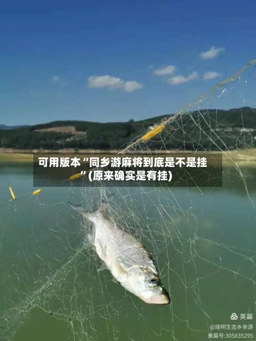 可用版本“同乡游麻将到底是不是挂”(原来确实是有挂)-第1张图片