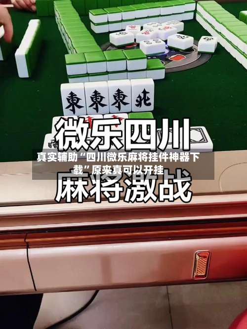 真实辅助“四川微乐麻将挂件神器下载	”原来真可以开挂-第1张图片