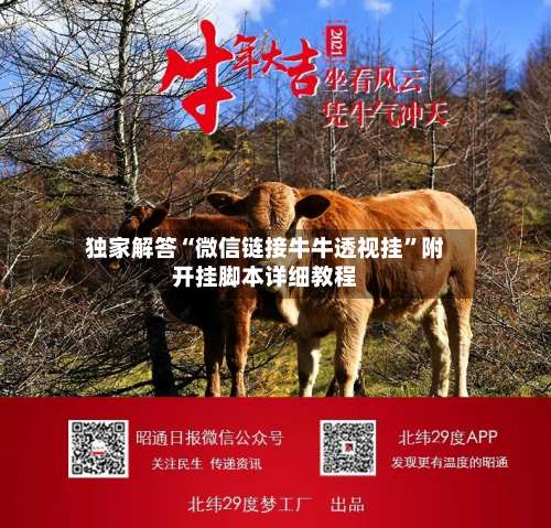 独家解答“微信链接牛牛透视挂	”附开挂脚本详细教程-第1张图片