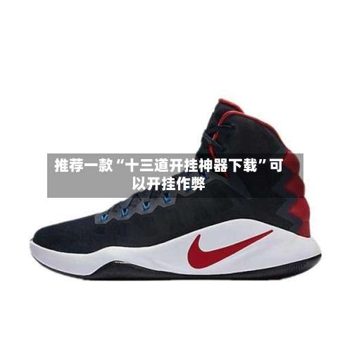 推荐一款“十三道开挂神器下载”可以开挂作弊-第1张图片