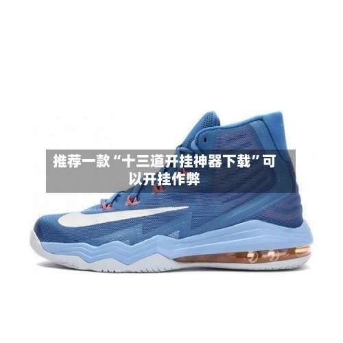 推荐一款“十三道开挂神器下载	”可以开挂作弊-第2张图片