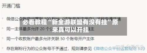 必看教程“新全游联盟有没有挂”原来真可以开挂-第2张图片