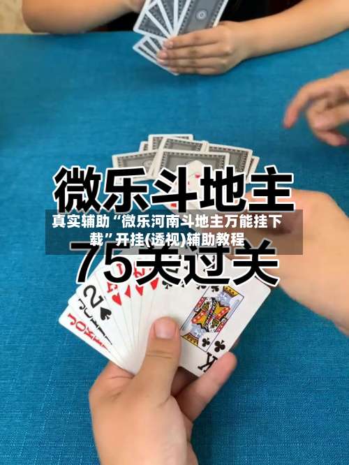 真实辅助“微乐河南斗地主万能挂下载”开挂(透视)辅助教程-第3张图片