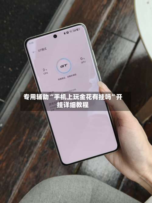 专用辅助“手机上玩金花有挂吗”开挂详细教程-第2张图片