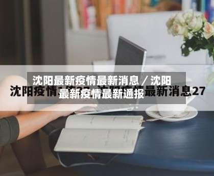 沈阳最新疫情最新消息／沈阳最新疫情最新通报-第2张图片