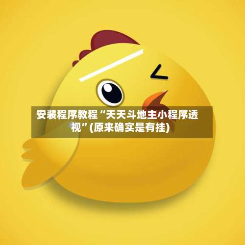 安装程序教程“天天斗地主小程序透视”(原来确实是有挂)-第1张图片