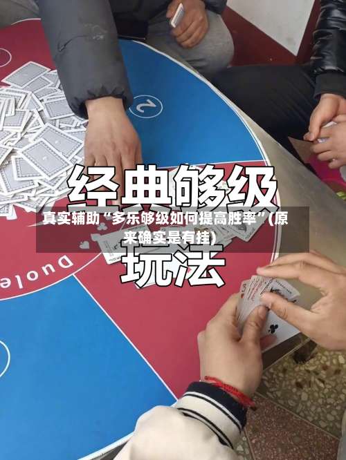 真实辅助“多乐够级如何提高胜率	”(原来确实是有挂)-第2张图片