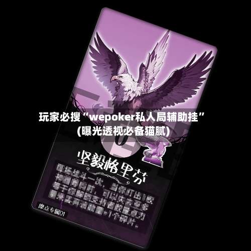 玩家必搜“wepoker私人局辅助挂	”(曝光透视必备猫腻)-第2张图片