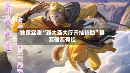 独家实测“新大圣大厅开挂辅助”其实确实有挂-第3张图片