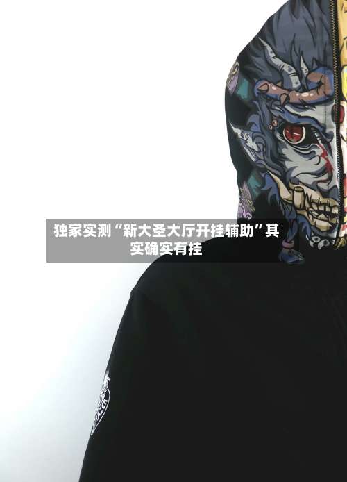 独家实测“新大圣大厅开挂辅助	”其实确实有挂-第2张图片