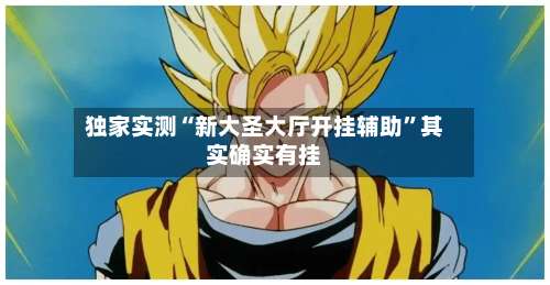 独家实测“新大圣大厅开挂辅助”其实确实有挂-第1张图片