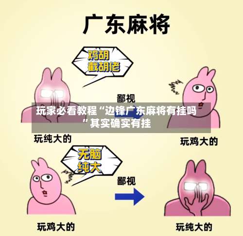 玩家必看教程“边锋广东麻将有挂吗”其实确实有挂-第1张图片