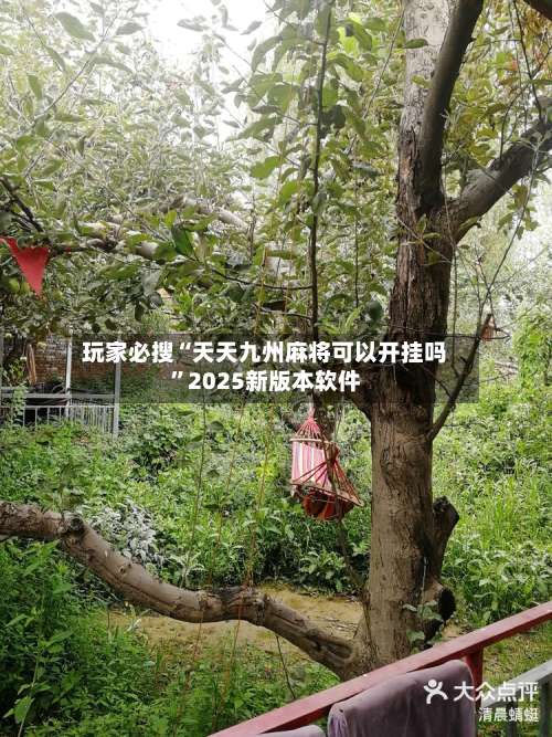 玩家必搜“天天九州麻将可以开挂吗	”2025新版本软件-第2张图片