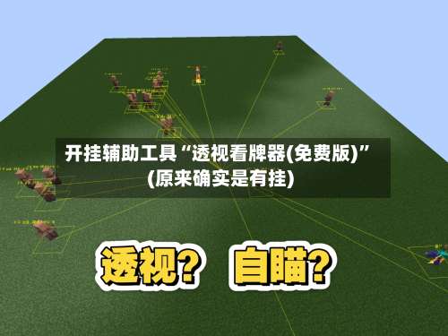 开挂辅助工具“透视看牌器(免费版)”(原来确实是有挂)-第3张图片