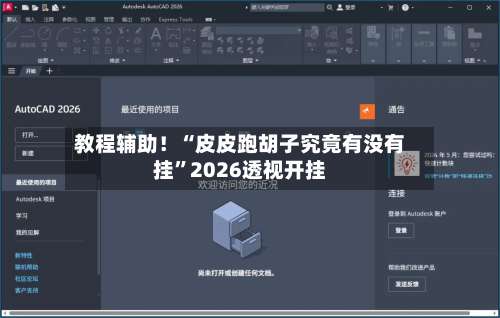 教程辅助！“皮皮跑胡子究竟有没有挂”2026透视开挂-第1张图片