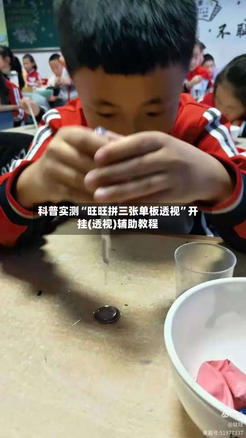 科普实测“旺旺拼三张单板透视	”开挂(透视)辅助教程-第2张图片