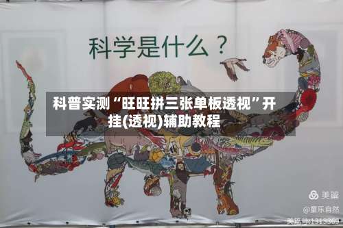 科普实测“旺旺拼三张单板透视”开挂(透视)辅助教程-第3张图片