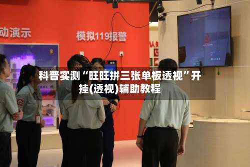 科普实测“旺旺拼三张单板透视”开挂(透视)辅助教程-第1张图片