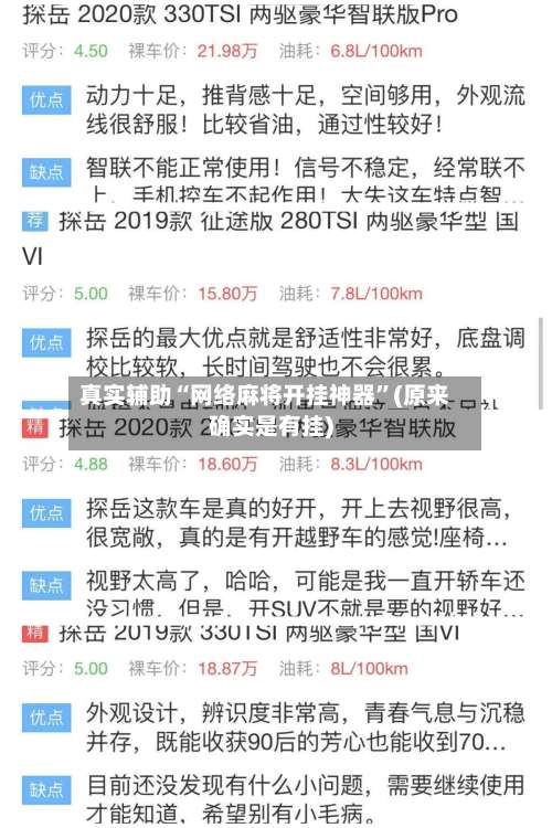 真实辅助“网络麻将开挂神器”(原来确实是有挂)-第2张图片