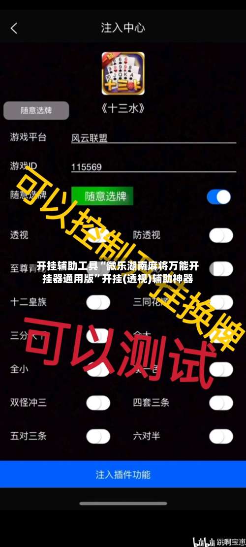 开挂辅助工具“微乐湖南麻将万能开挂器通用版”开挂(透视)辅助神器-第1张图片