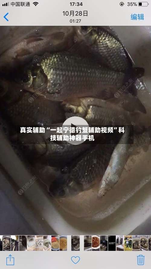 真实辅助“一起宁德钓蟹辅助视频”科技辅助神器手机-第1张图片