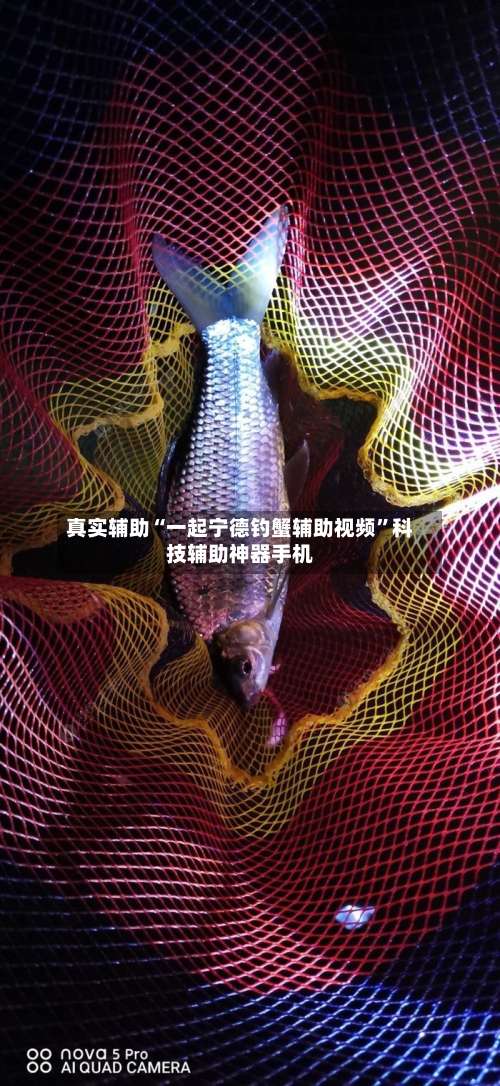 真实辅助“一起宁德钓蟹辅助视频”科技辅助神器手机-第3张图片