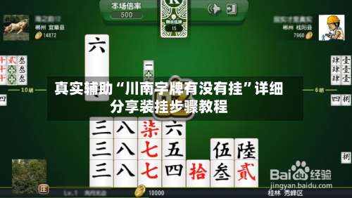 真实辅助“川南字牌有没有挂”详细分享装挂步骤教程-第1张图片