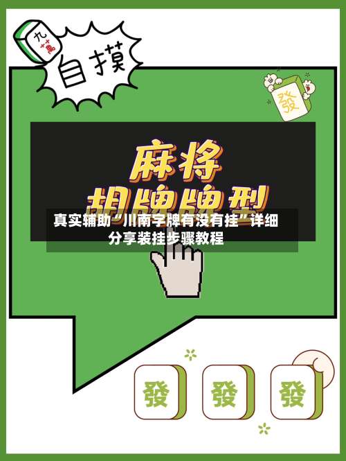 真实辅助“川南字牌有没有挂”详细分享装挂步骤教程-第2张图片