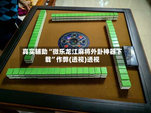 真实辅助“微乐龙江麻将外卦神器下载”作弊(透视)透视-第2张图片