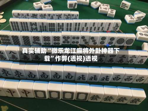 真实辅助“微乐龙江麻将外卦神器下载”作弊(透视)透视-第3张图片