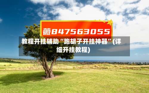 教程开挂辅助“跑胡子开挂神器”(详细开挂教程)-第1张图片