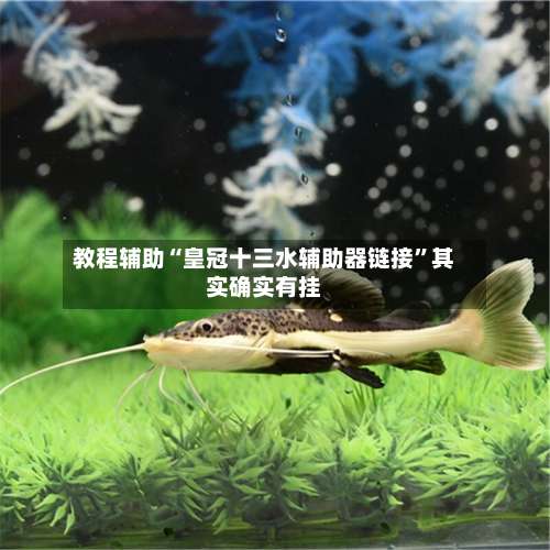 教程辅助“皇冠十三水辅助器链接	”其实确实有挂-第1张图片