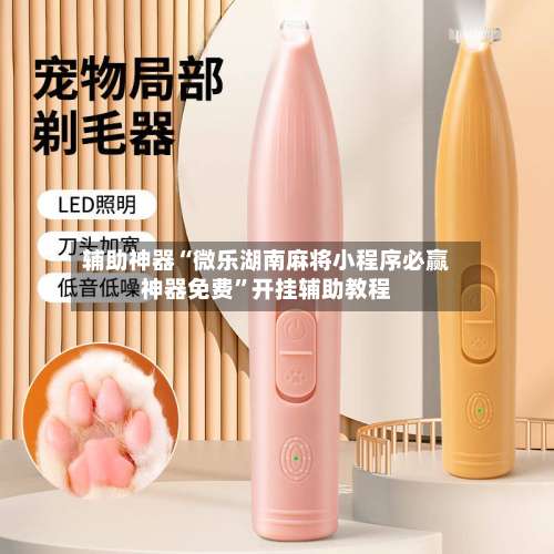 辅助神器“微乐湖南麻将小程序必赢神器免费”开挂辅助教程-第1张图片