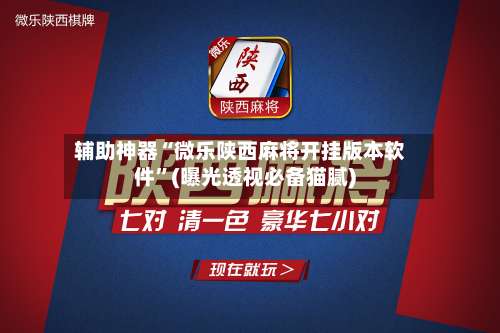 辅助神器“微乐陕西麻将开挂版本软件”(曝光透视必备猫腻)-第1张图片