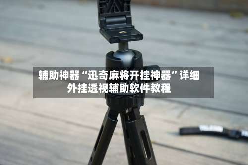 辅助神器“迅奇麻将开挂神器	”详细外挂透视辅助软件教程-第3张图片