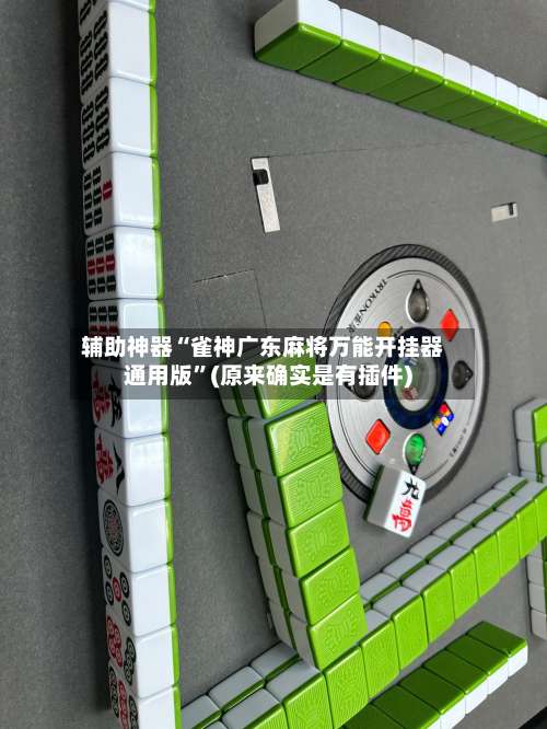 辅助神器“雀神广东麻将万能开挂器通用版”(原来确实是有插件)-第3张图片