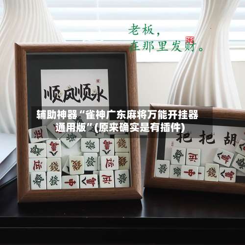 辅助神器“雀神广东麻将万能开挂器通用版”(原来确实是有插件)-第2张图片