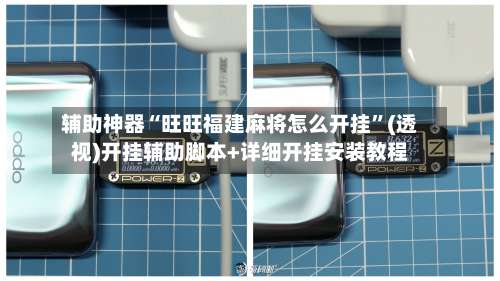 辅助神器“旺旺福建麻将怎么开挂”(透视)开挂辅助脚本+详细开挂安装教程-第2张图片