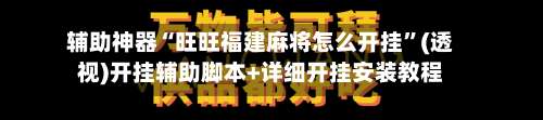 辅助神器“旺旺福建麻将怎么开挂”(透视)开挂辅助脚本+详细开挂安装教程-第3张图片
