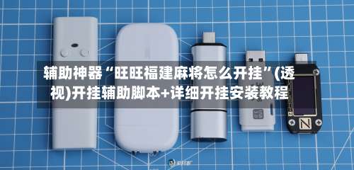 辅助神器“旺旺福建麻将怎么开挂”(透视)开挂辅助脚本+详细开挂安装教程-第1张图片