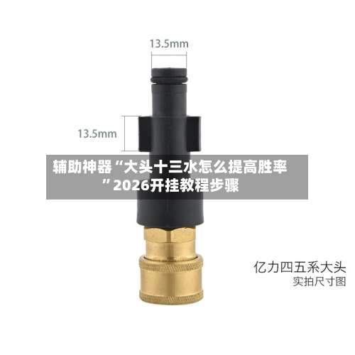 辅助神器“大头十三水怎么提高胜率”2026开挂教程步骤-第1张图片